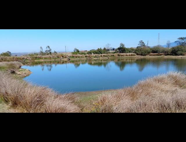 FARM FOR SALE IN GROOT BRAKRIVIER RURAL